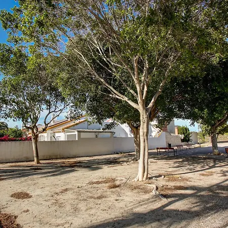 Tatil Evi Casa Historia