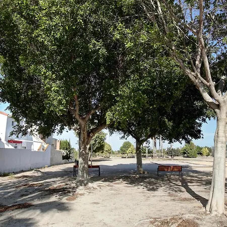 Tatil Evi Casa Historia